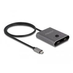   Delock USB 10 Gbps USB Type-C™ kapcsoló 2 az 1-ben Kétirányú 8K