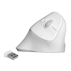 Delock Ergonómikus, vezetéknélküli függoleges USB egér