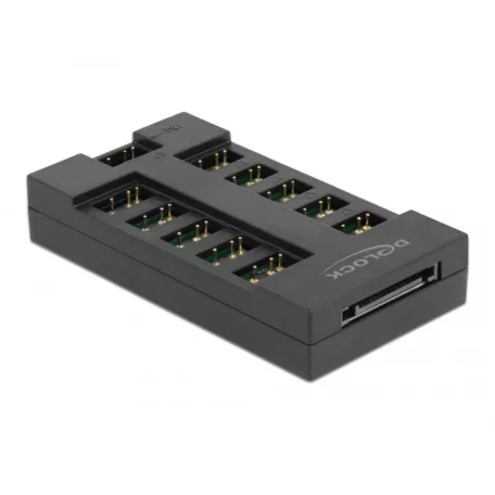 Delock RGB Hub 10 porttal ARGB LED-ekhez