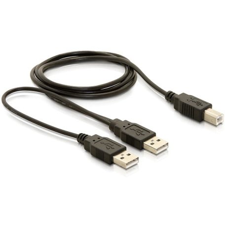 Delock USB 2.0-B   USB-A hálózati + hálózati/adat kábel