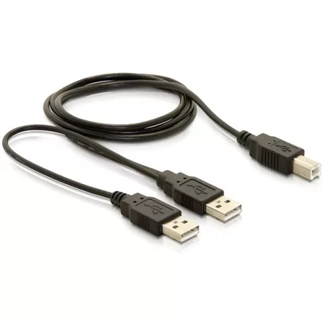 Delock USB 2.0-B – USB-A hálózati + hálózati/adat kábel