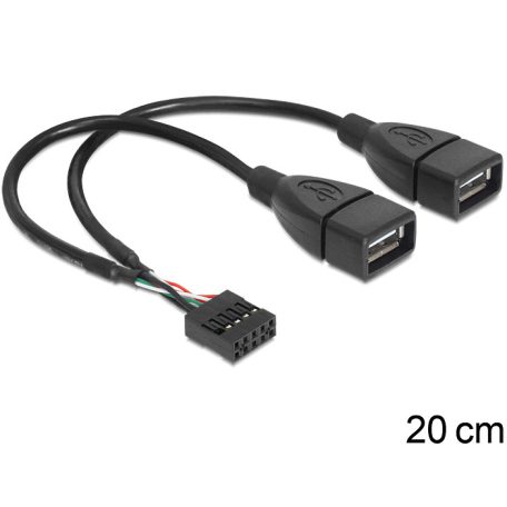 Delock USB 2.0 A típus, 2 x anya - pin fejes kábel