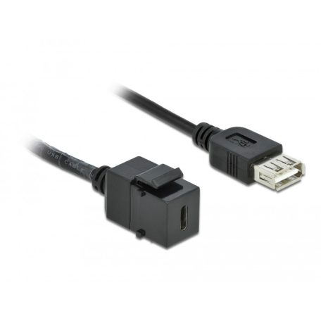 Delock Keystone modul, USB 2.0 C-csatlakozóhüvely > USB 2.0 A-csatlakozóhüvely, kábellel