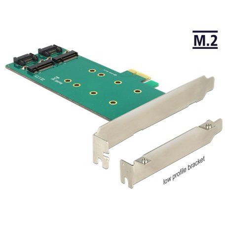Delock PCI Express kártya > 2 x belső M.2 Key B 110 mm - Alacsony profilú